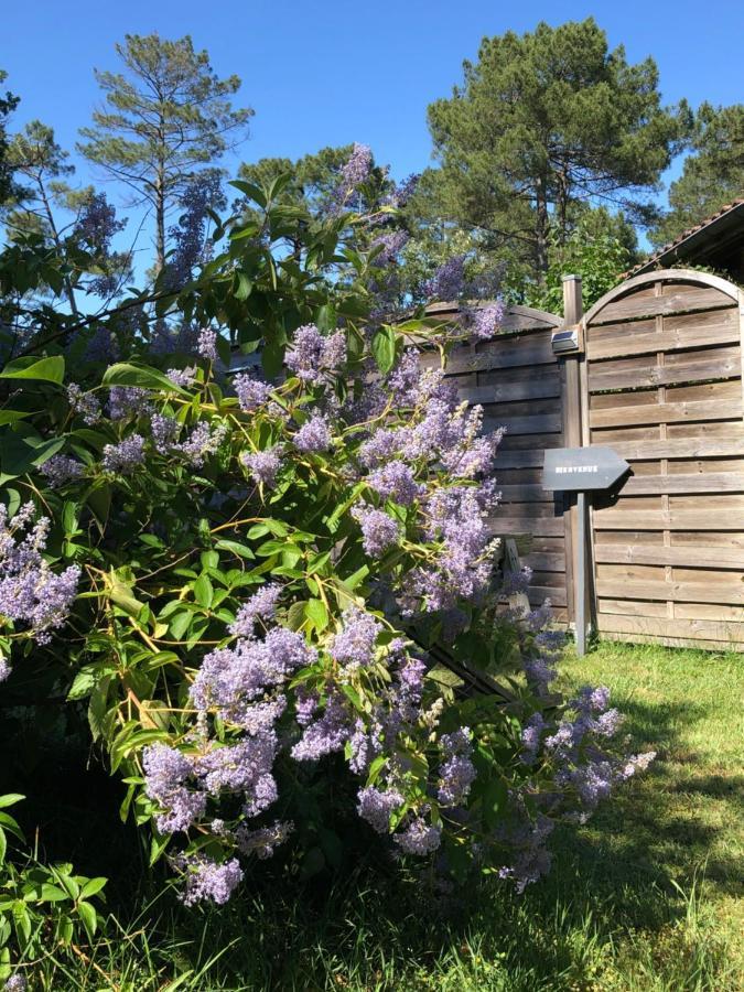 Escale Sous Les Pins Villa Salles  Eksteriør bilde